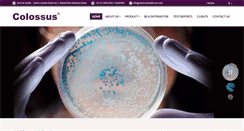 Desktop Screenshot of colossushealthcare.com